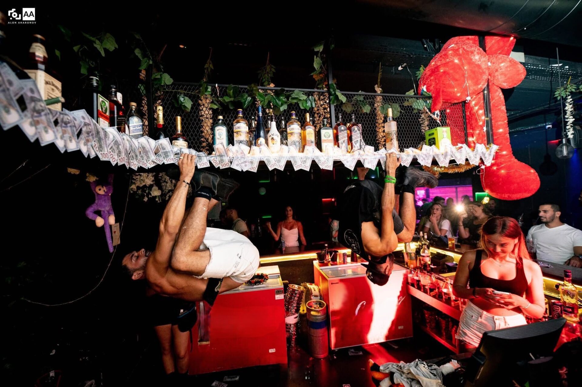 WhatsApp Image 2026-01-26 at 18.24.56 (1)